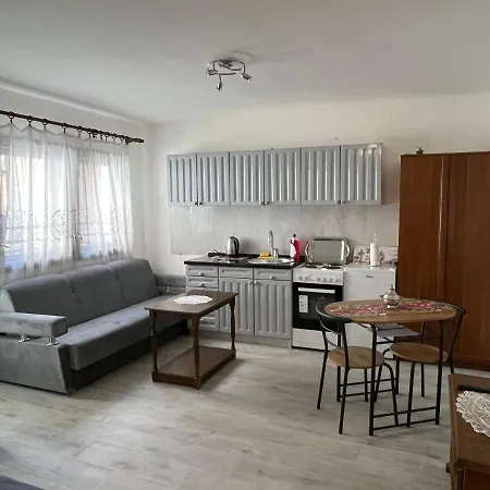 Old Town Logavina Street Cosey Studio Apartment Sarajevo
